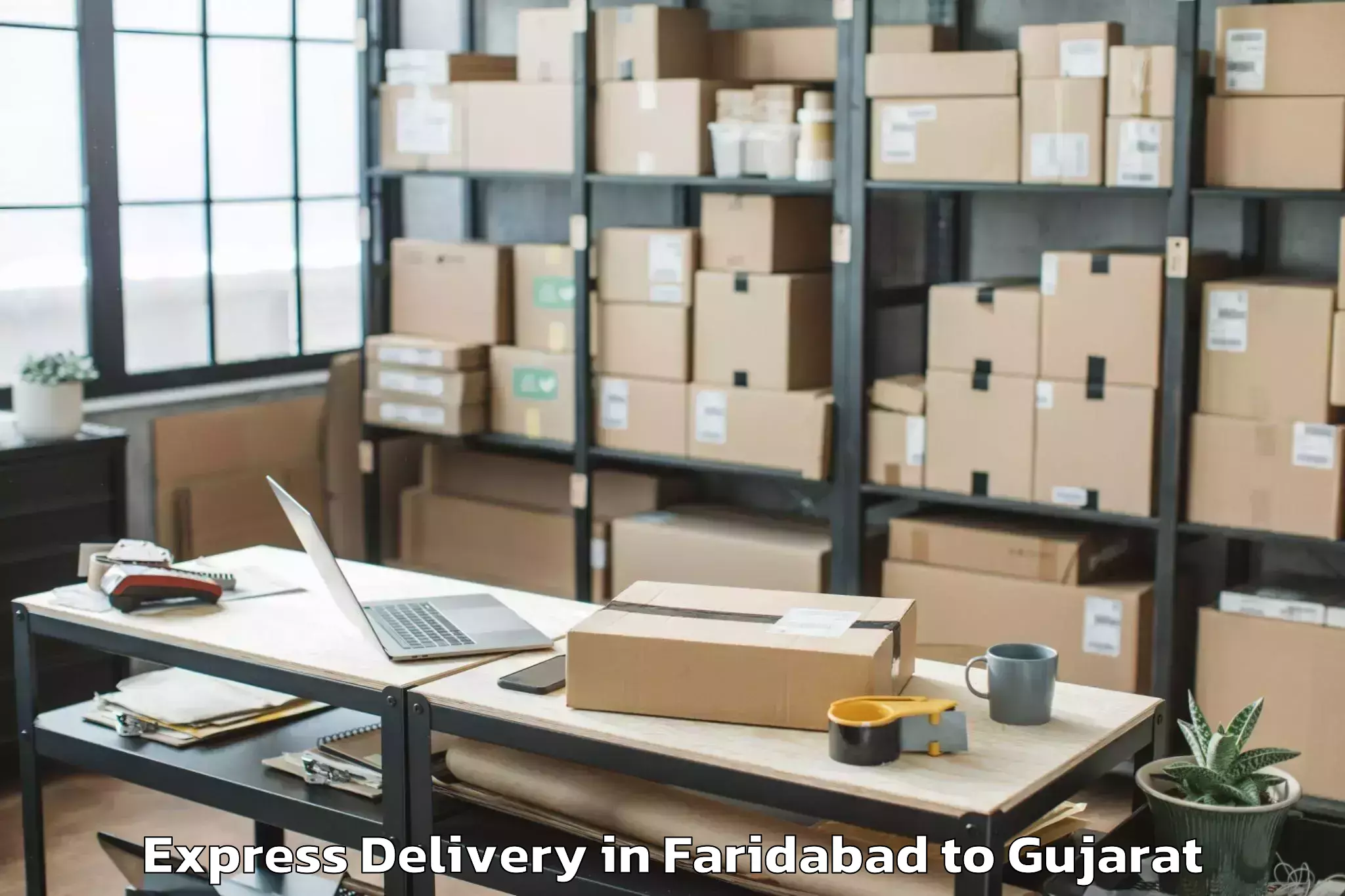 Reliable Faridabad to Vansada Express Delivery